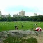 sheep-meadow-central-park